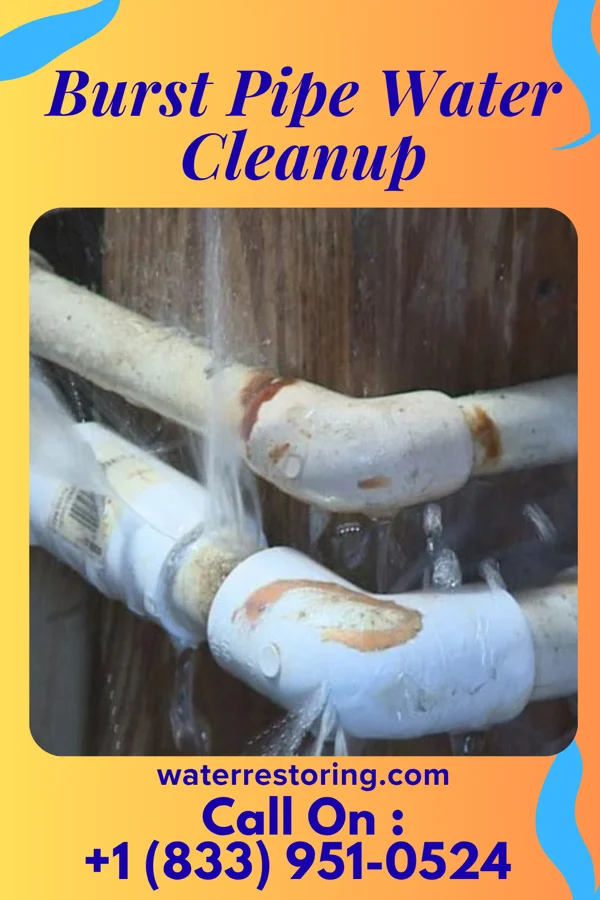 Burst Pipe Water Cleanup in Woodland, NC