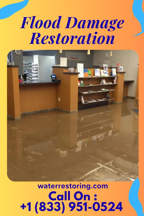 Flood Damage Restoration in Woodland, NC