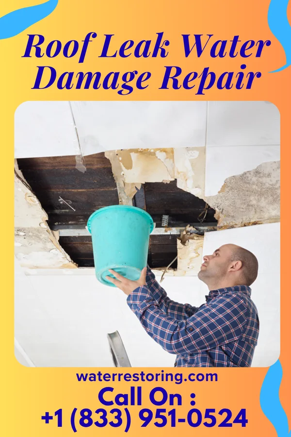 Roof Leak Water Damage Repair in Woodland, NC